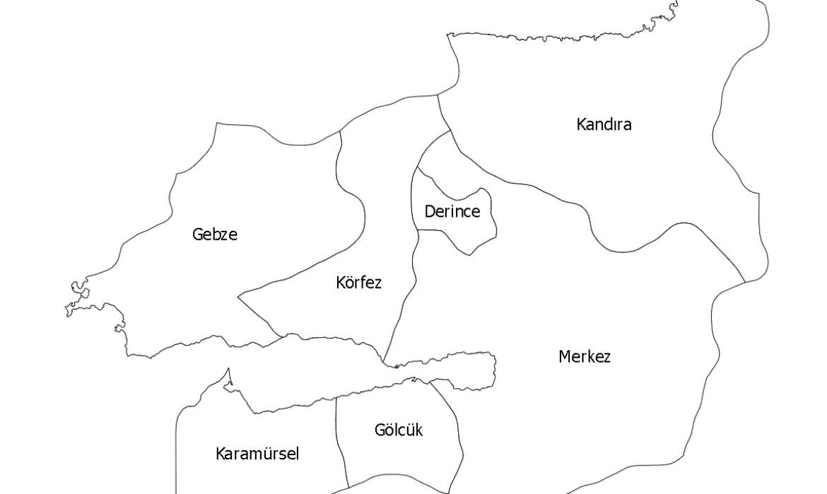 Kocaeli Web Tasarım